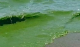 环境污染新闻爆料,最新爆料揭示惊人真相！”